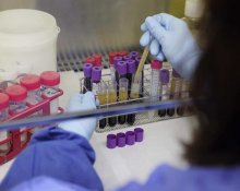 Функции гормона Инсулина в организме человека